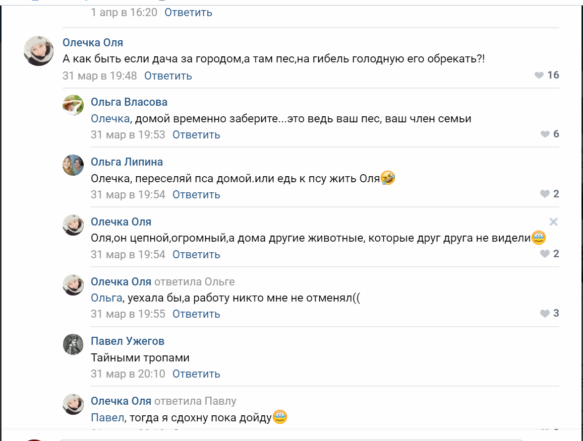 Комментарии 
