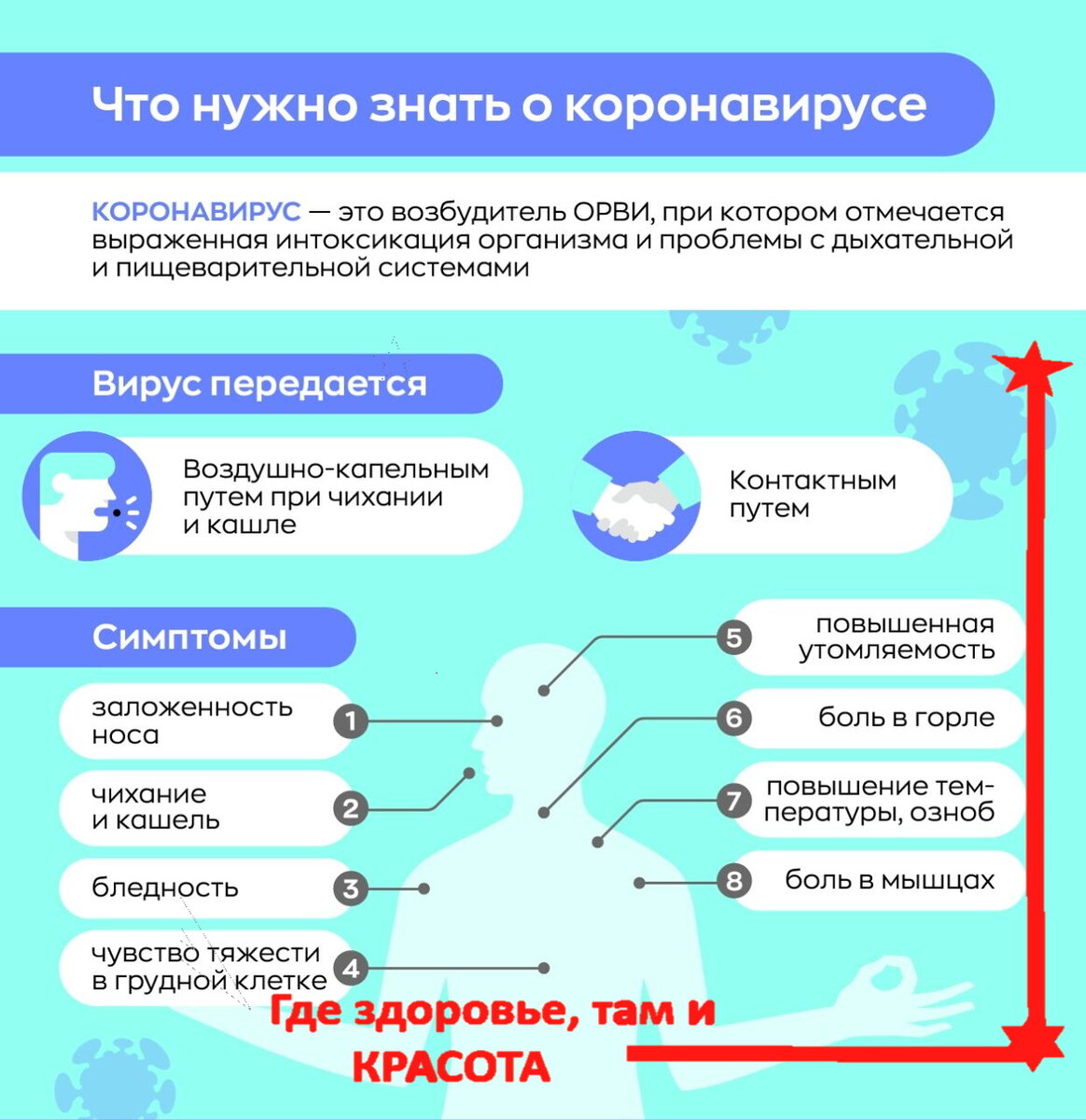 Фото из интернета