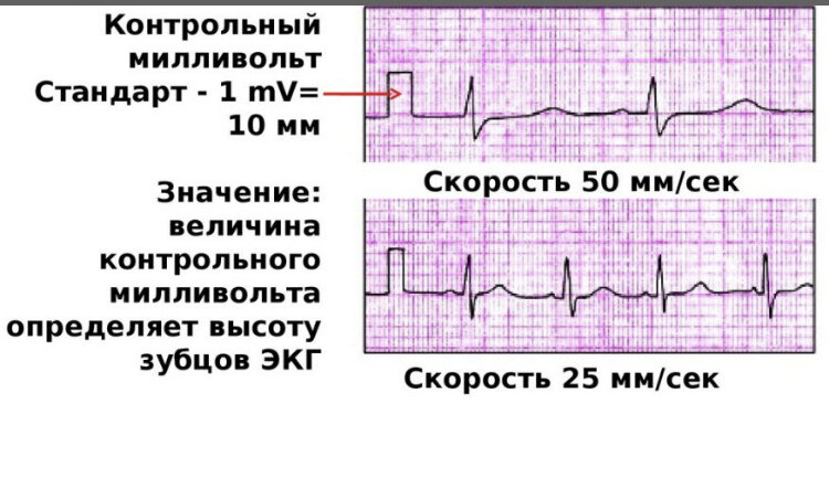 Реферат по порнографии ( очень много )