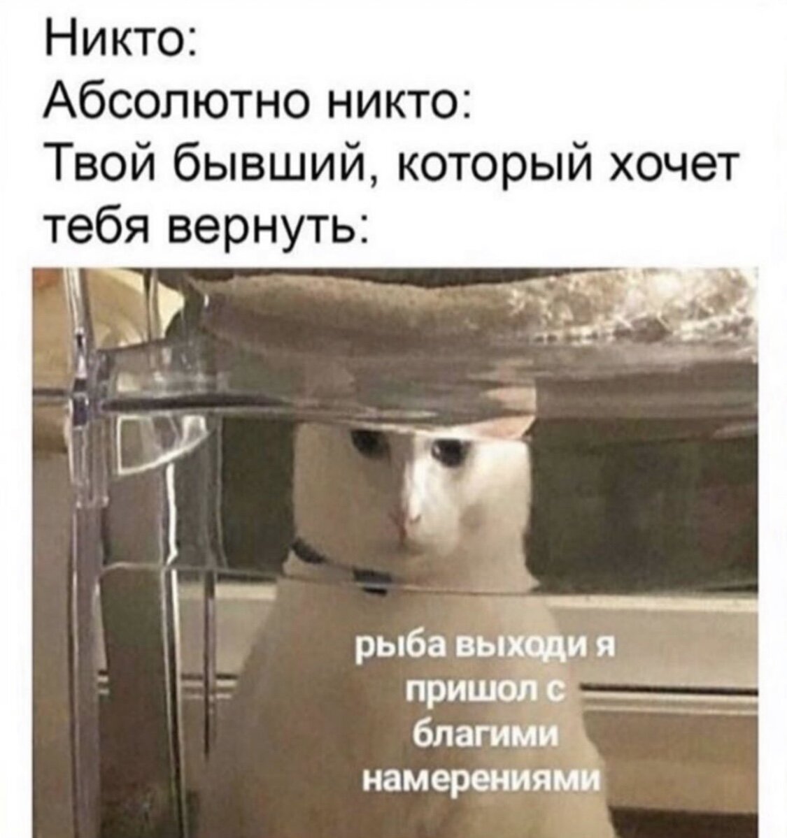 Кот на заводе мем