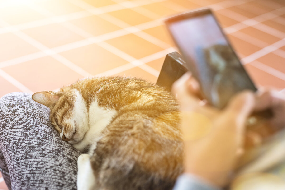 Depositphotos.com/elwynn