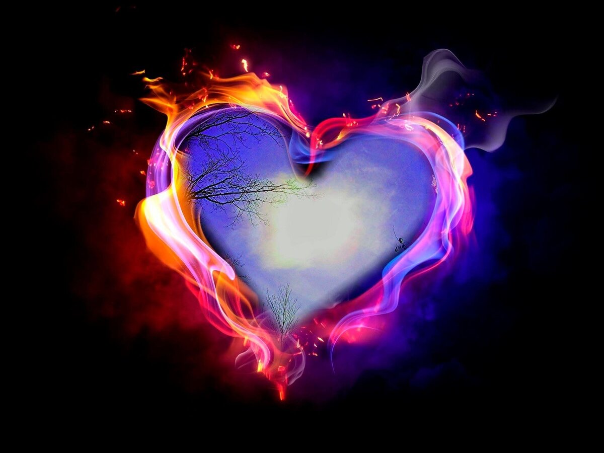 картинка из яндекса