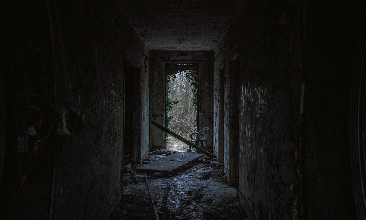  "Богатые тоже зомби", Екатерина Широкова. Фото Гвендал Коттин на Unsplash 