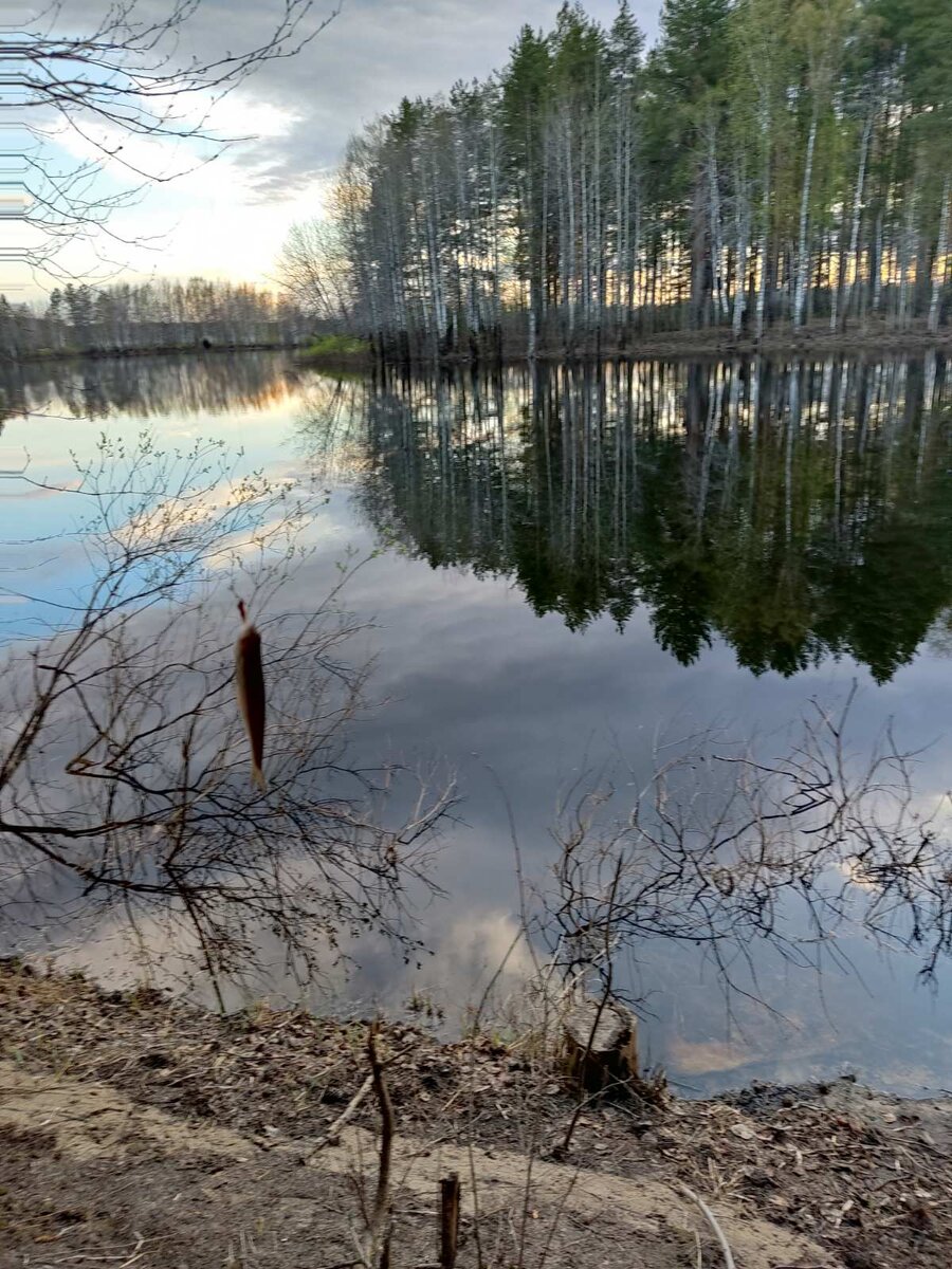 Даже поймали трёх рыбов (вон одну маленькую можно на фотографии разглядеть). Решили повторить и организовать серьезную рыбалку с ночёвкой и палаткой при случае.