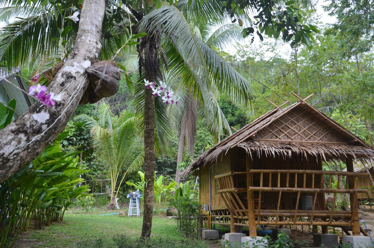 Наше бунгало на острове Ко Куд, пальмы и орхидеи. #Тайланд . Фото автора.