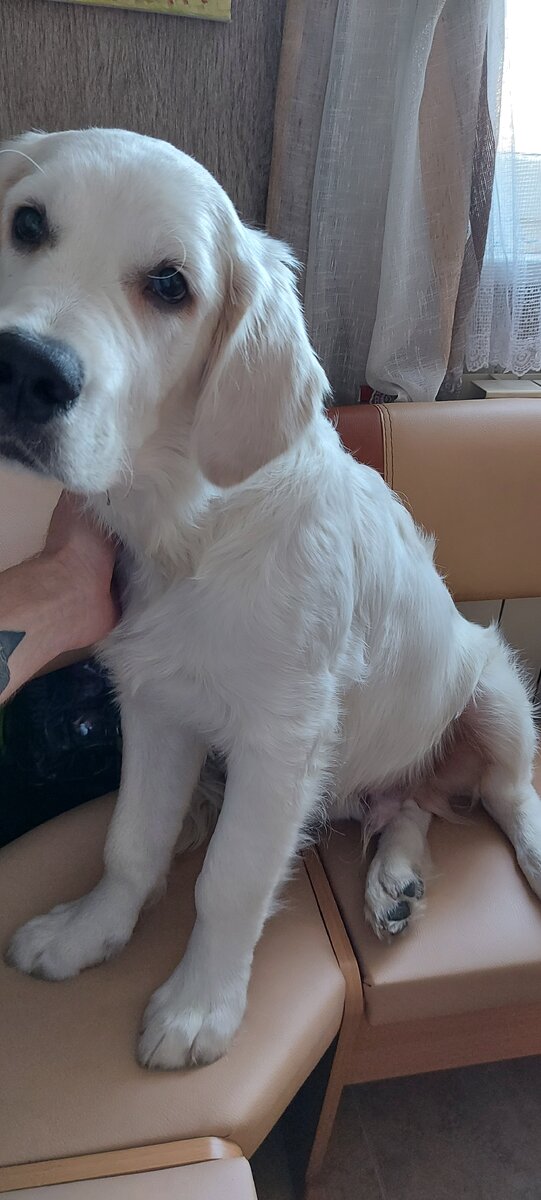 Всегда рядом с другом😀