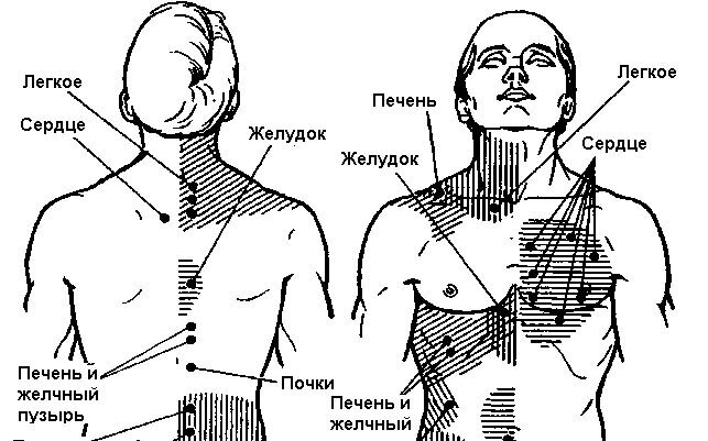 Рефлексогенные зоны нашего внимания!