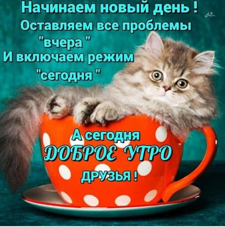 Милая картинка из открытых источников интернета. На поиск ушло 0,5 минуты.