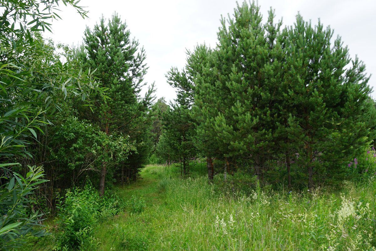 Фотографичное место