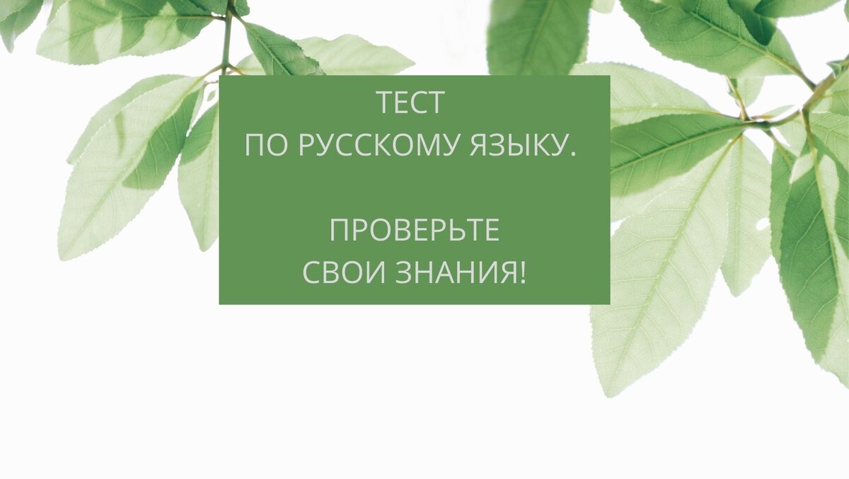 коллаж автора