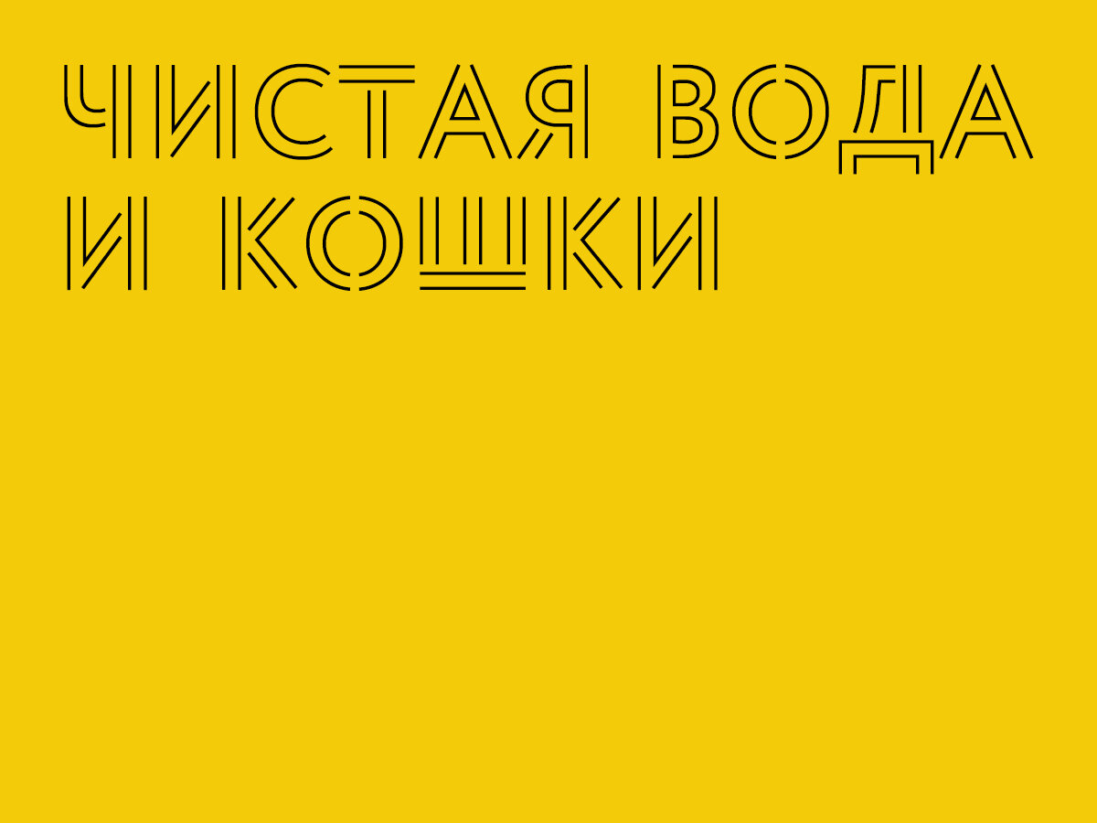 Почему для кошек важна чистая вода? | Фонд помощи животным «ДОМ» | Дзен