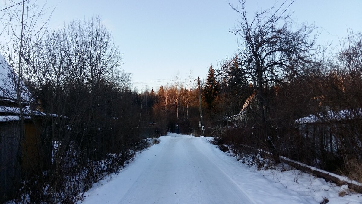 Фото автора.