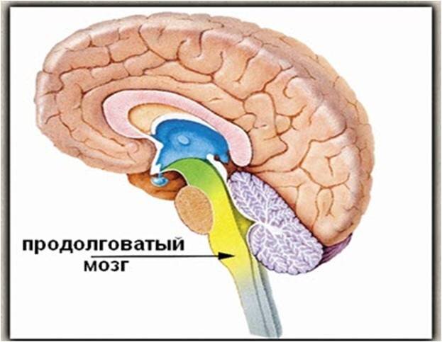 Умеренная физическая активность