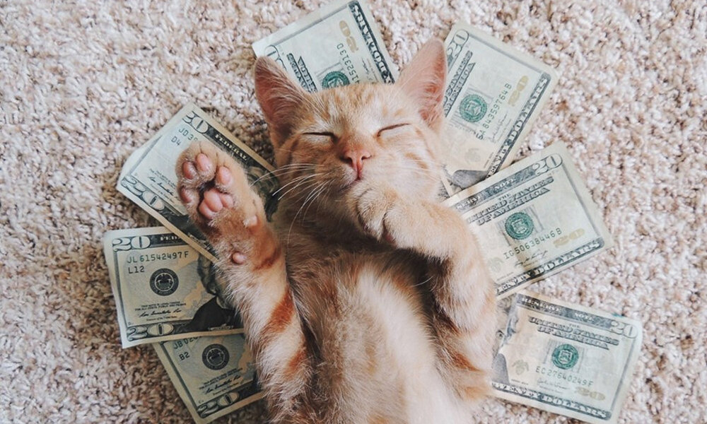 Источник: anfivestars.ru