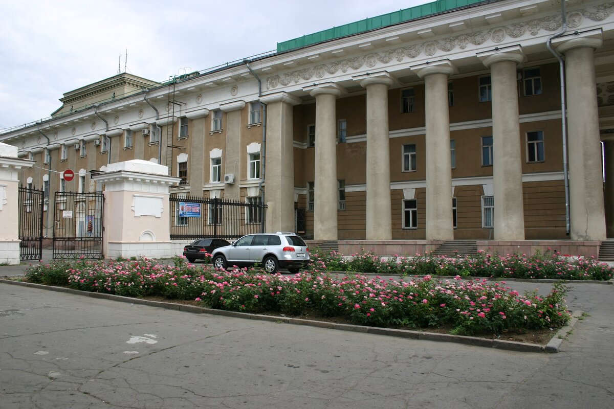 В массовой монопосадке роза перестаёт быть королевой (г. Волжский Волгоградской области). Фото можно листать.