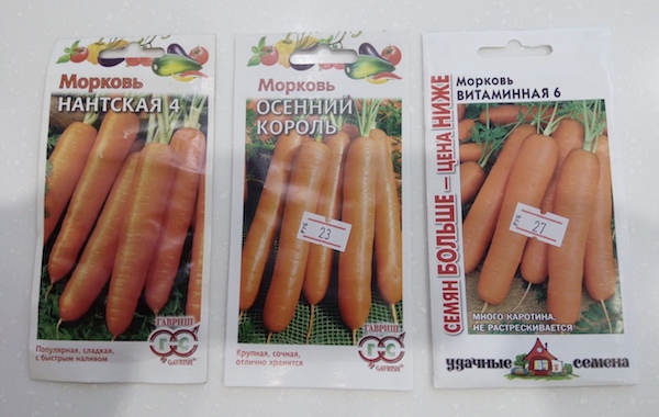 Когда посадить морковь, чтоб урожай удался: в какие дни я рекомендую приступить к посеву и почему?2