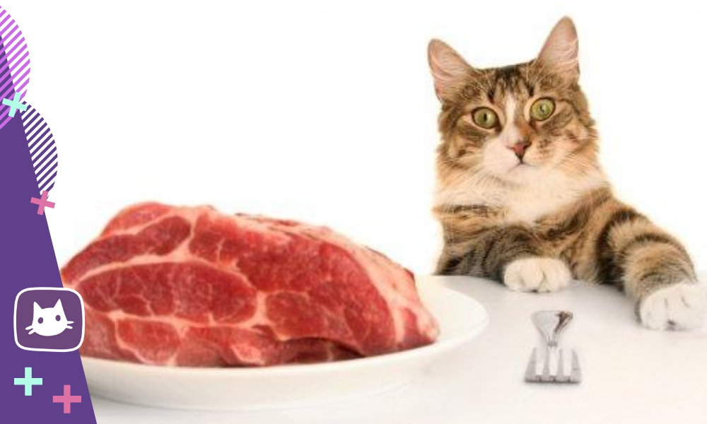 Те владельцы кошек, которые хотят кормить питомцев натуральной едой, должны понимать, что рацион должен быть сбалансированным, полезным и полностью отвечать потребностям животного.-2