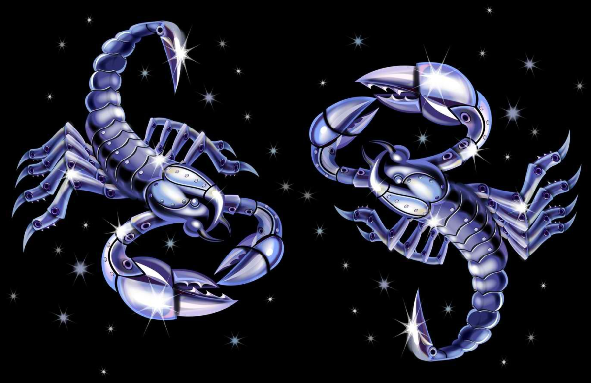 Любовный Эротический Гороскоп - Skorpions () - Horoskops - заточка63.рф
