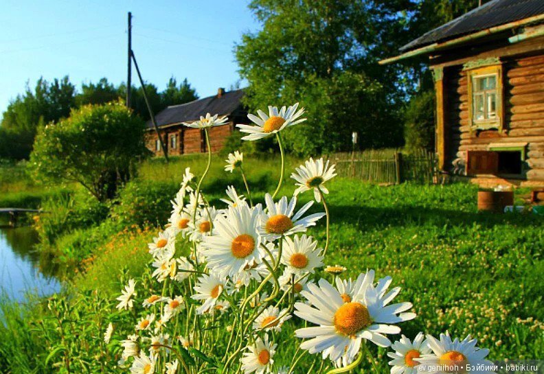 Яндекс.Картинки