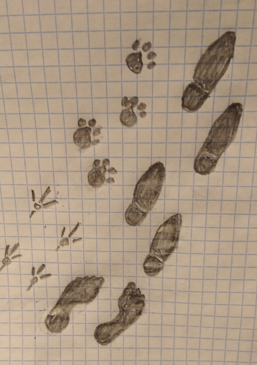 Личное фото.