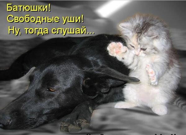 Свободные  уши