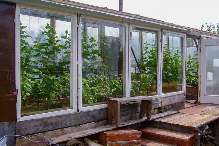 © Фото Андрей Заржецкий VN.ru📷
