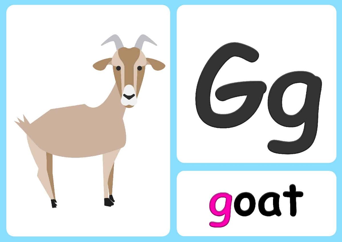 Коза на англ. Карточки goat. Коза на англ. Коза раскраска для детей. Goat английский для детей карточки.