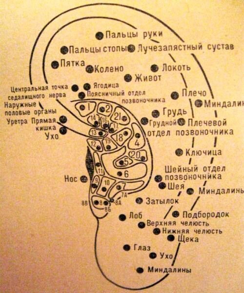 Прокол мочек ушей