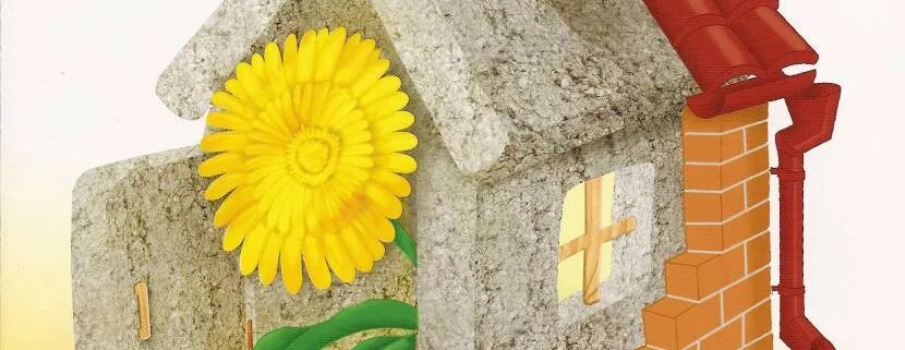 Эковатой можно утеплять практически все части домаИсточник green-agency.ru