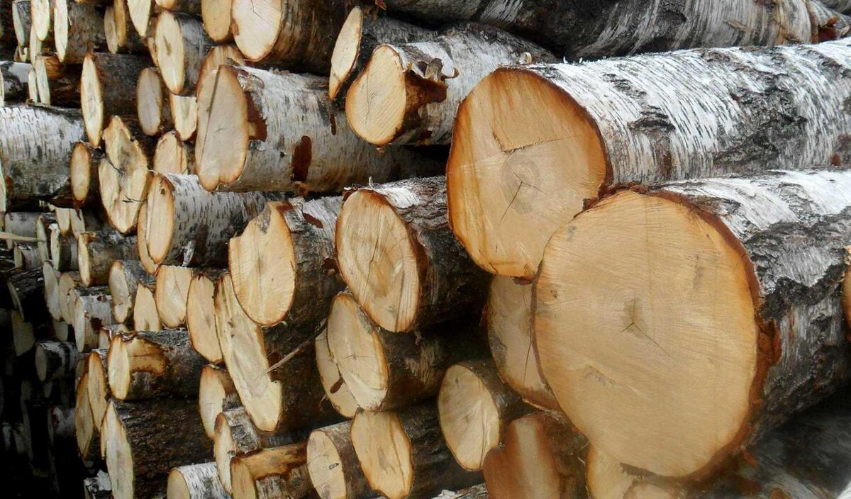 Как обработать сосновую древесину тонирующей пропиткой и лаком