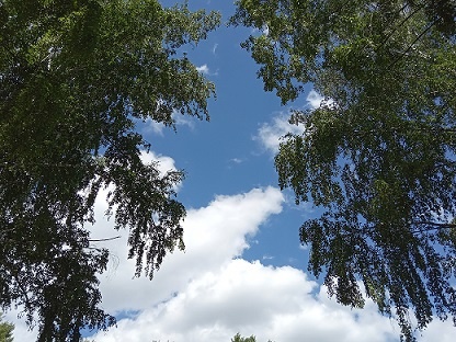 Фотография из личного архива автора