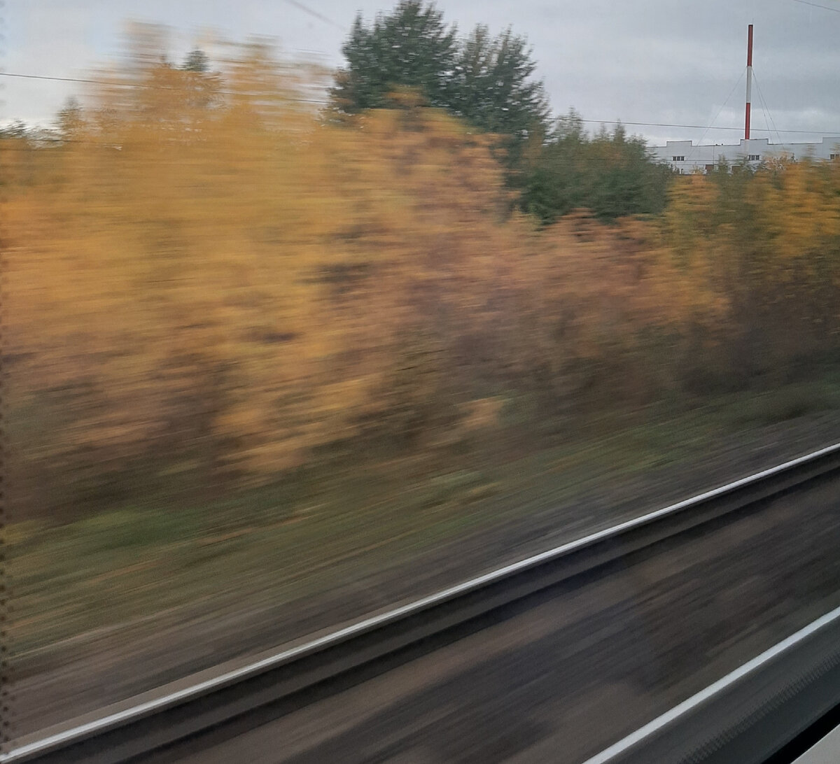 В дороге. Фото автора.