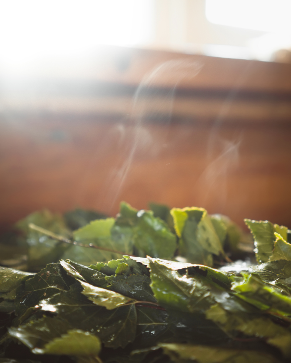 ТОП-3 способа запарить веник и сохранить его пользу | DUBVENIK.RU | Дзен