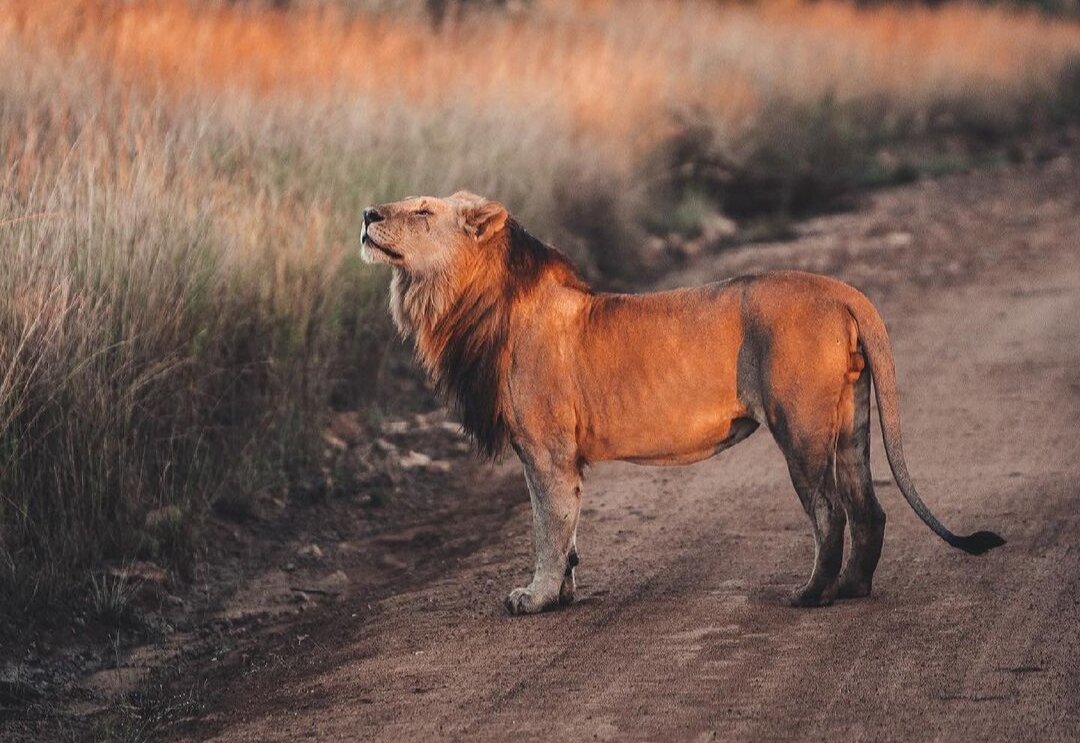 Photo by inst @yana_leventseva