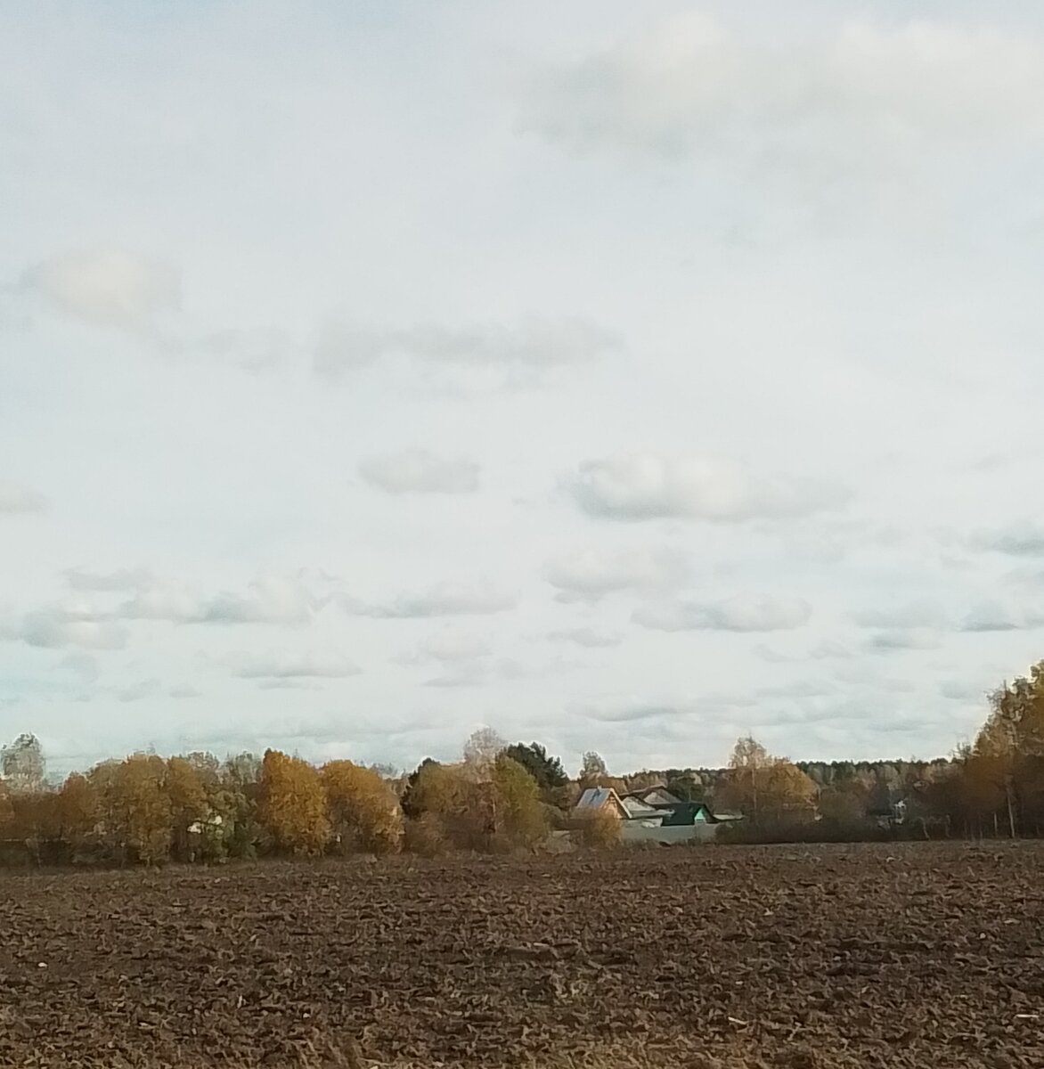 Немного теплее. А завтра снова мороз. 