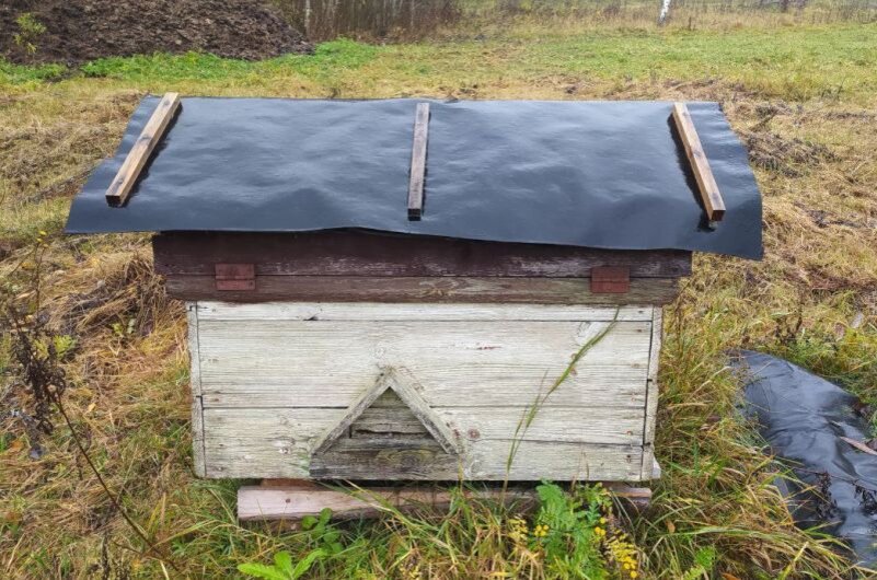 Улей-лежак на 24 рамки.