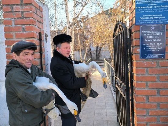     ФОТО: ПРЕСС-СЛУЖБА БУРПРИРОДНАДЗОРА