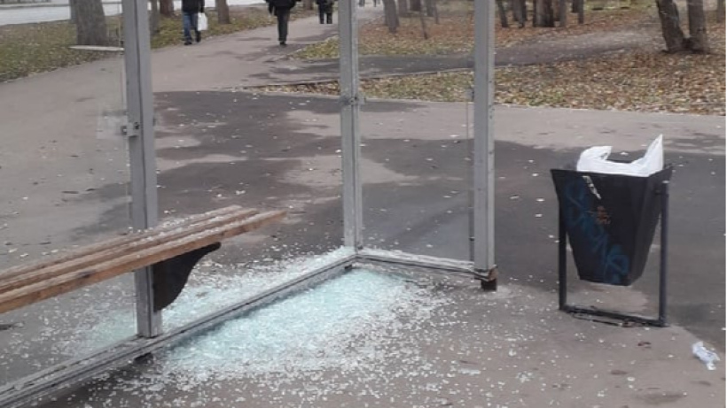   Фото vk.com/saratov24