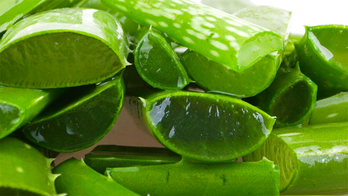 Нарезанный алоэ