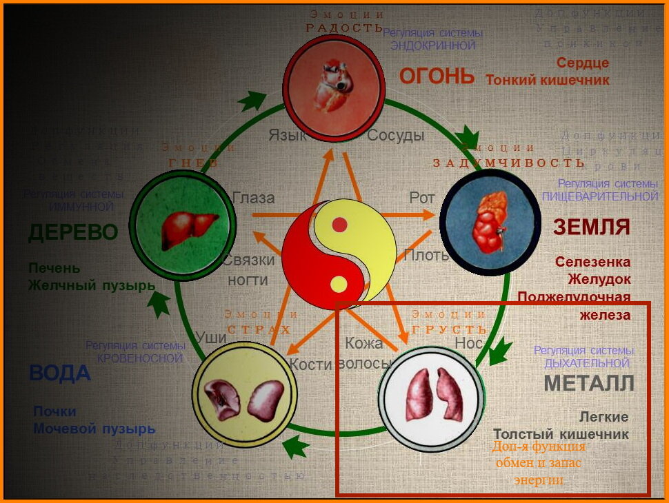  Мироздание не хаотично, в нем существуют строгие закономерности. Энергия или Стихия не свободна в своих проявлениях, так как ее качества ее же и ограничивают. Качества одной стихии ограничивают другую, но, полезны для развития третьей стихии. Другими словами, стремясь к равновесию, Стихии друг друга поддерживают и ограничивают в определенной последовательности.