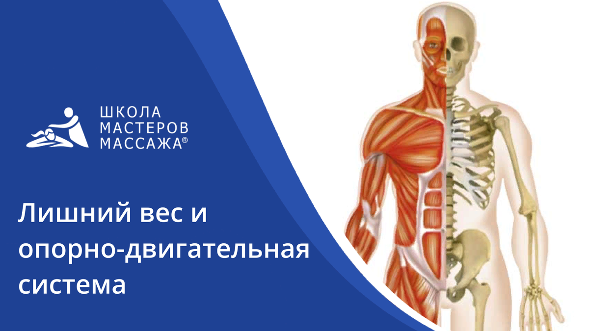 Лишний вес = неправильная работа организма | Школа мастеров массажа |  СПБ/МСК | Дзен