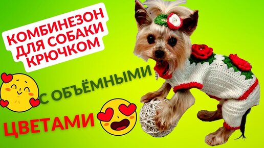 Комбинезон для собаки! Одежда для собак своими руками выкройки! Выкройка комбинезона для собаки