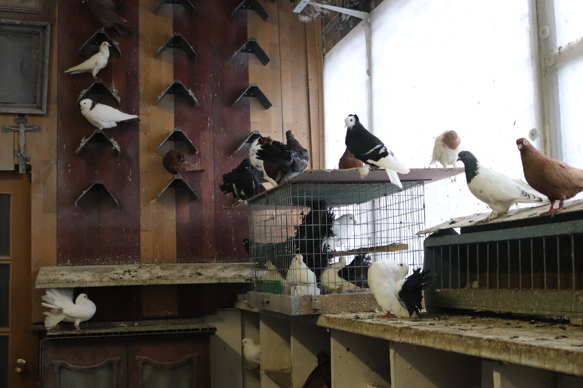 фото автора Елены М.