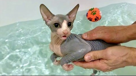 Взято/Источник: pinterest.com