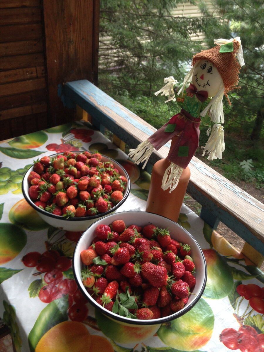 та самая ягода-всем ягодам-ЯГОДА!