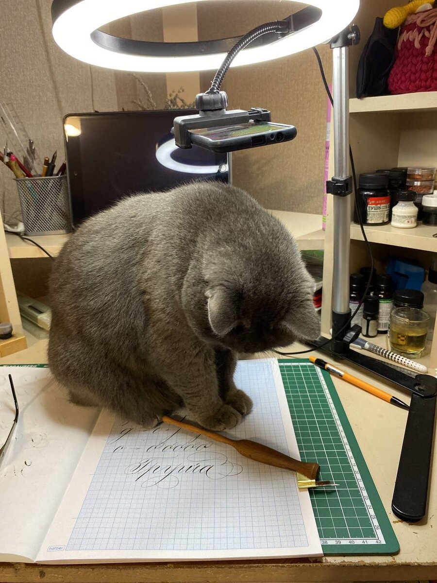  Муся учиться каллиграфическим завитушкам.