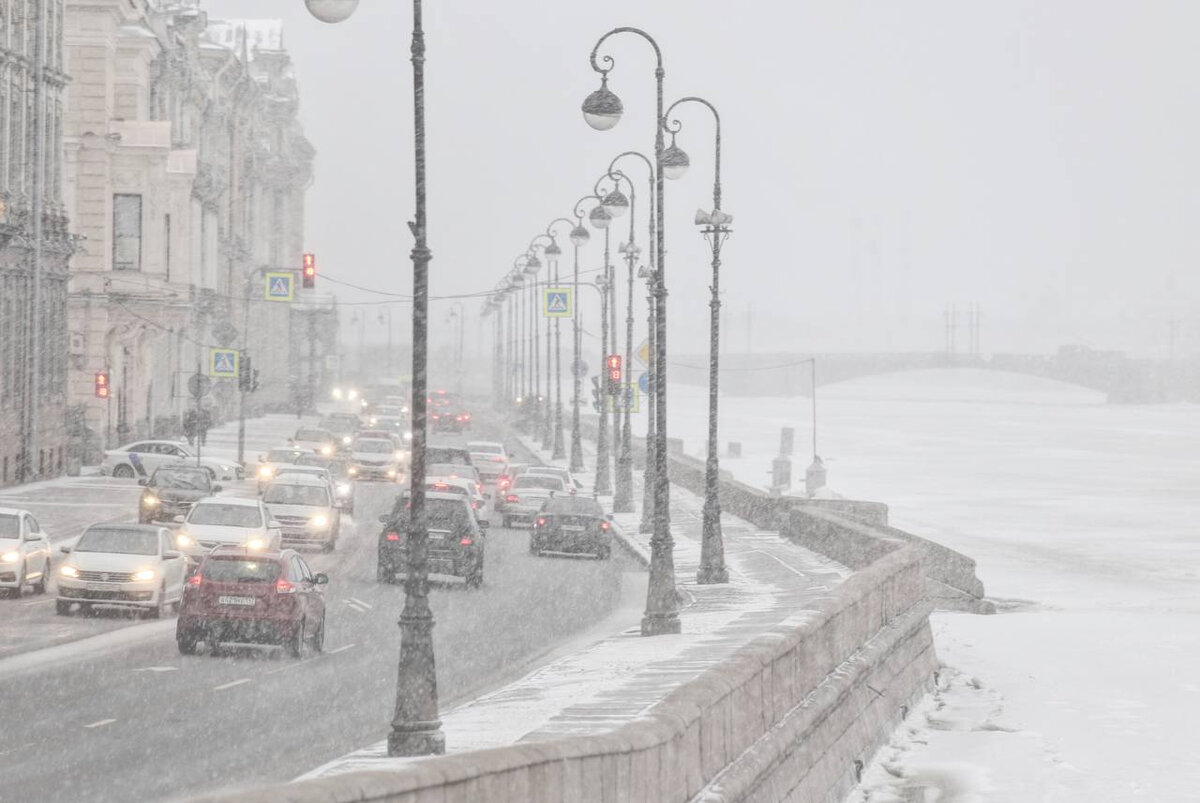   
 Фото: Сергей Михайличенко / «Фонтанка.ру» / Архив