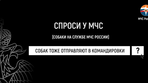 #СпросиуМЧС | собаки на службе МЧС России