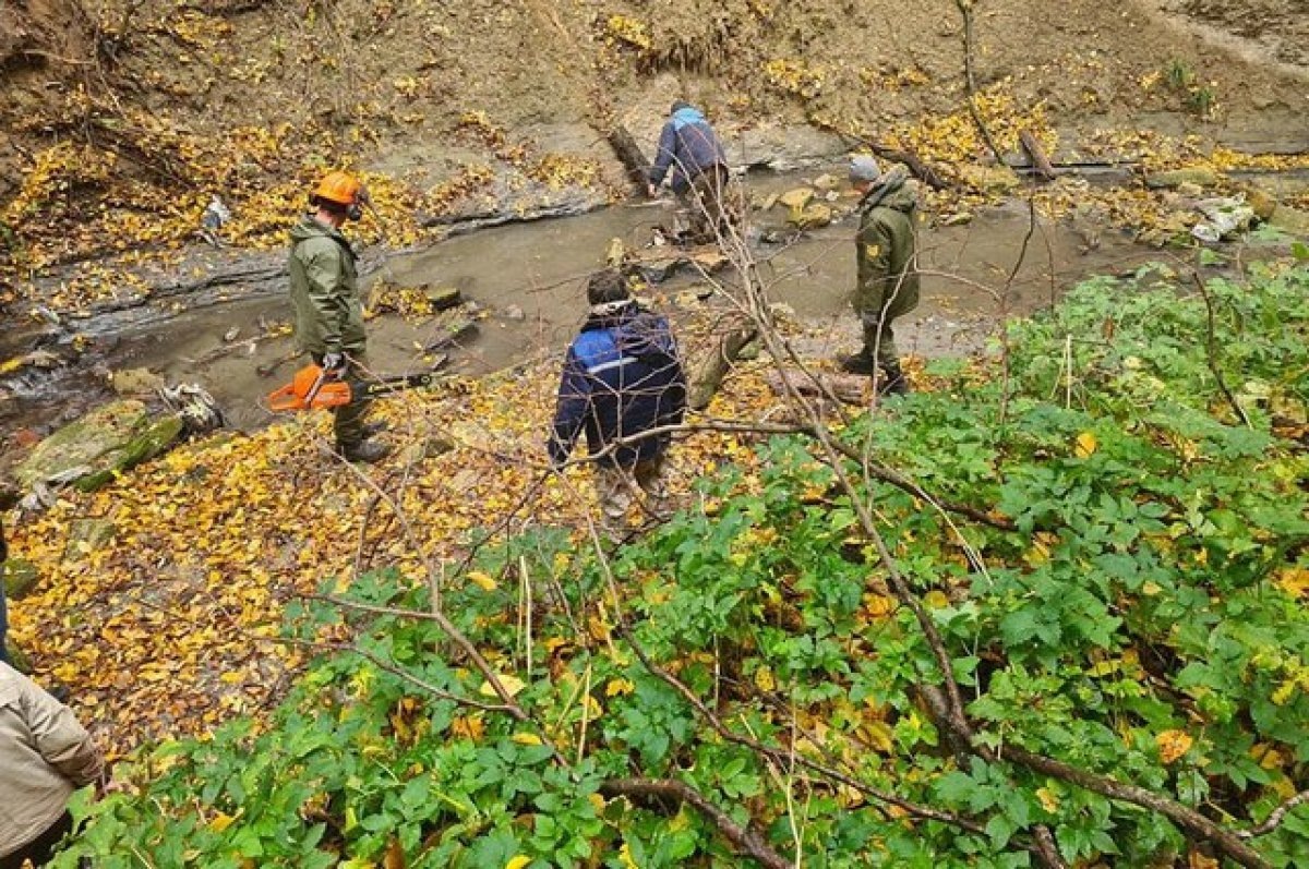    Берега рек в Ставрополе расчистили от 117 кубометров мусора