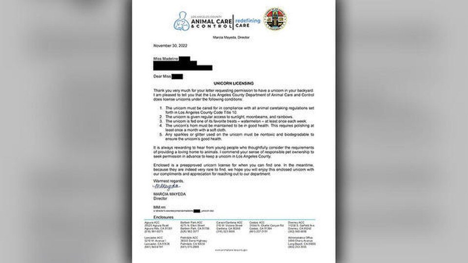     Девочка из Лос-Анджелеса получила разрешение от властей США на содержание единорога